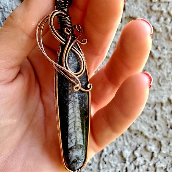 New Oversized Orthoceras Fossil Wire Wrapped Pendant. - Picture 2 of 15